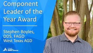 Stephen Boyles Award 2